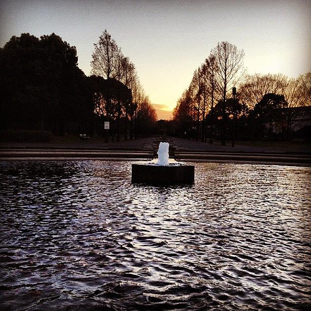 Holiday Photograph - Fountain In The Park#fountain by Saito Hironobu