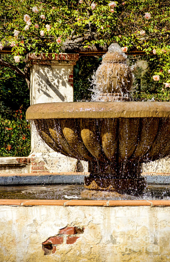 Fountain Of Beauty Photograph by Peggy Hughes