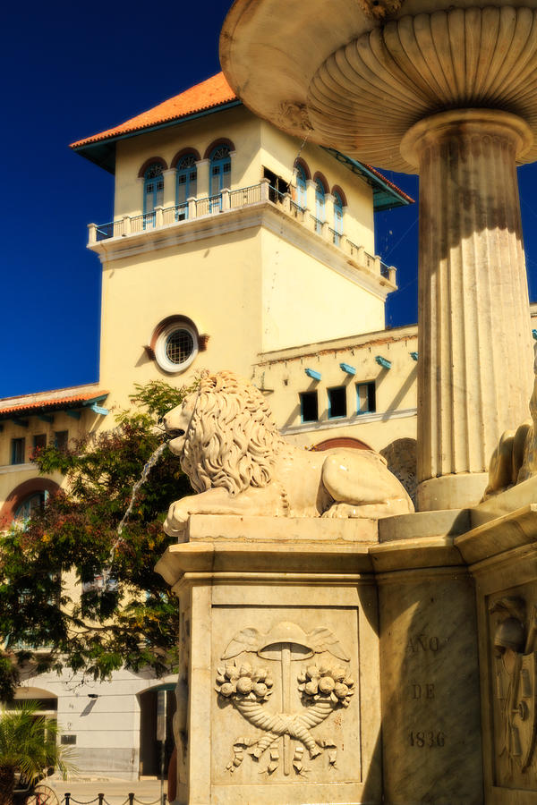 San Francisco Photograph - Fountain of the Lions  by Levin Rodriguez