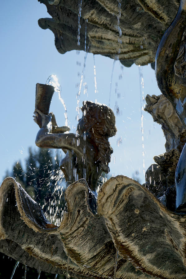Fountain of Youth Photograph by Giorgio Tuscani