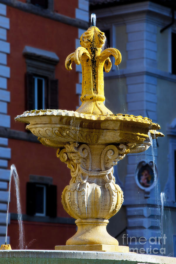 Fountain Piazza Farnese Photograph by Brian Jannsen