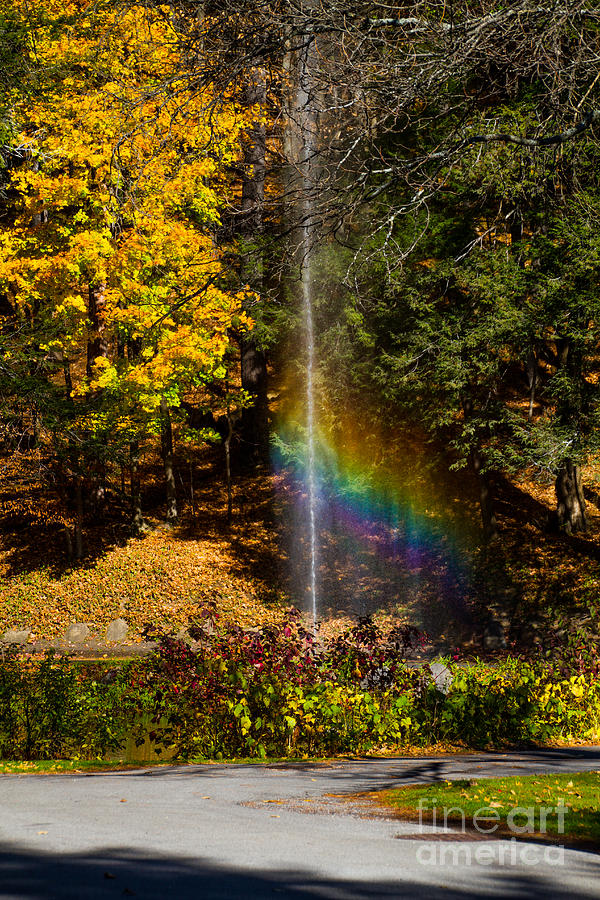 Fountain Rainbow Photograph by William Norton