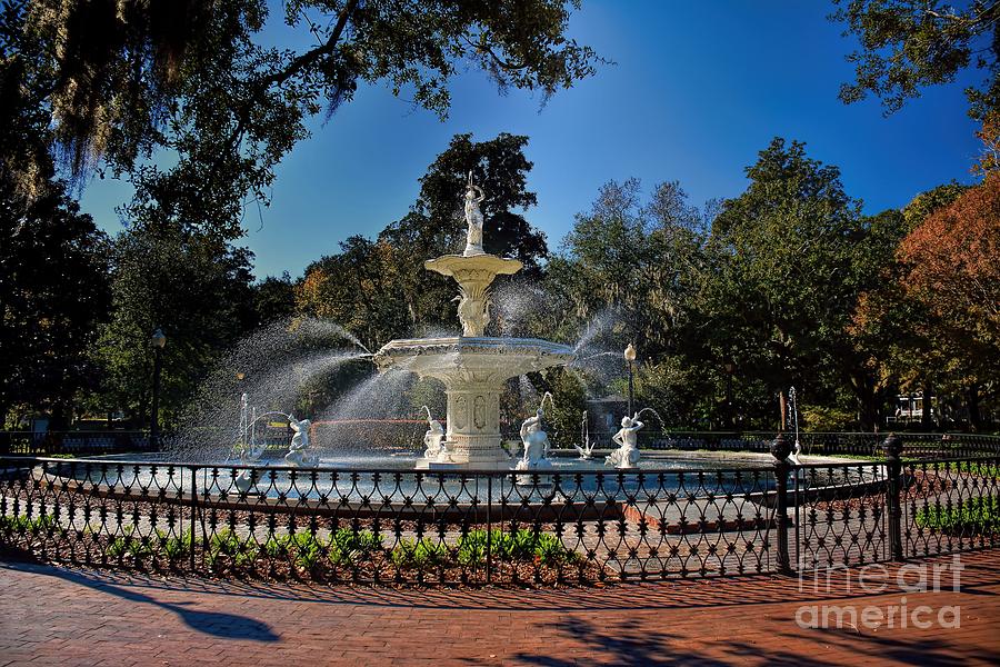 Fountain Savannah Photograph by Henry Kowalski