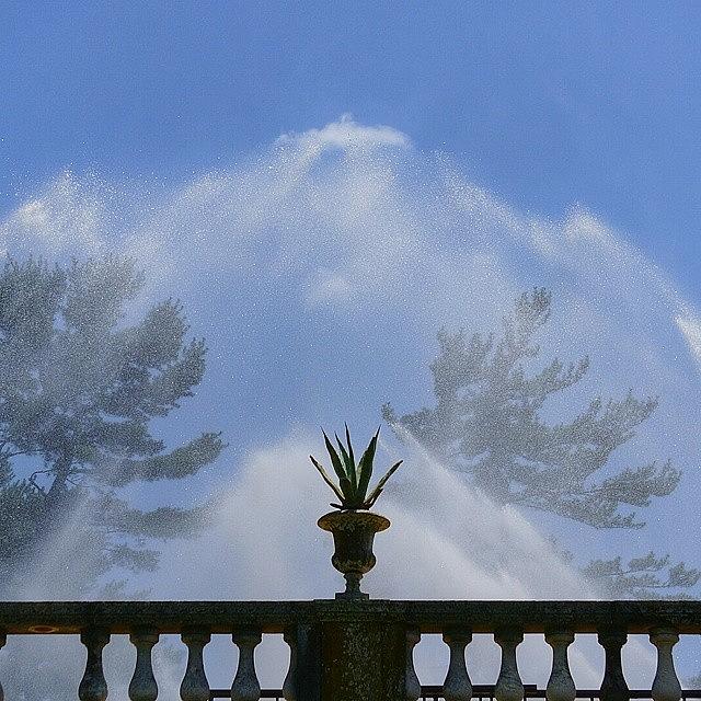 Fountains At Longwood Gardens Photograph by Traci Law