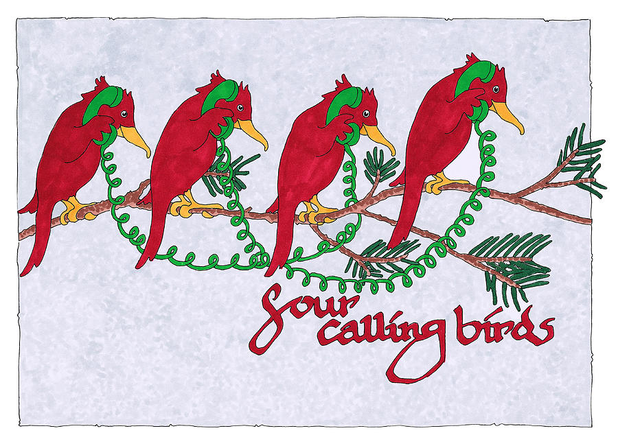 Four Calling Birds Drawing by Hawley Wright