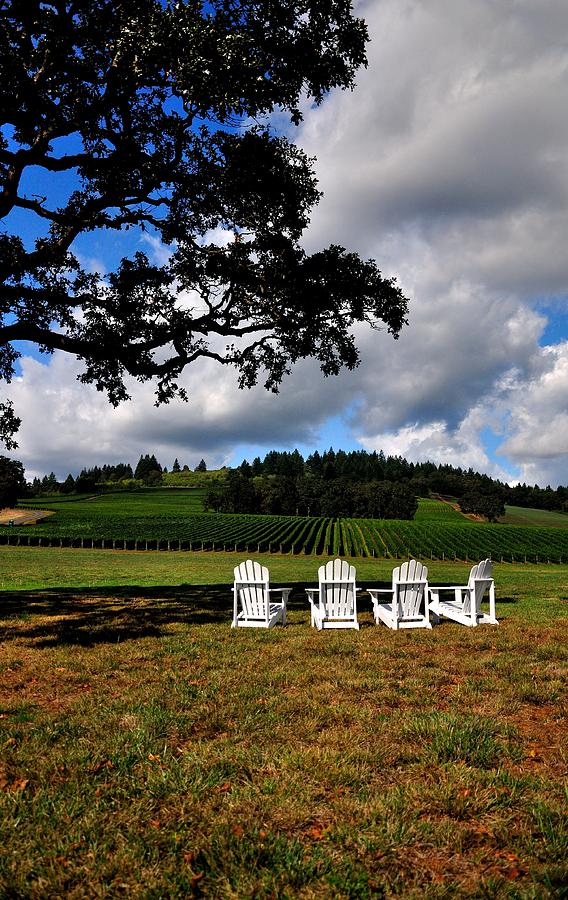 Four Chairs In The Vineyard 19077 Photograph by Jerry Sodorff