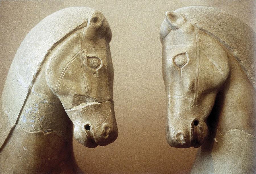 Four Chariot  Horses. Ca.  570 Bc. Two Photograph by Everett