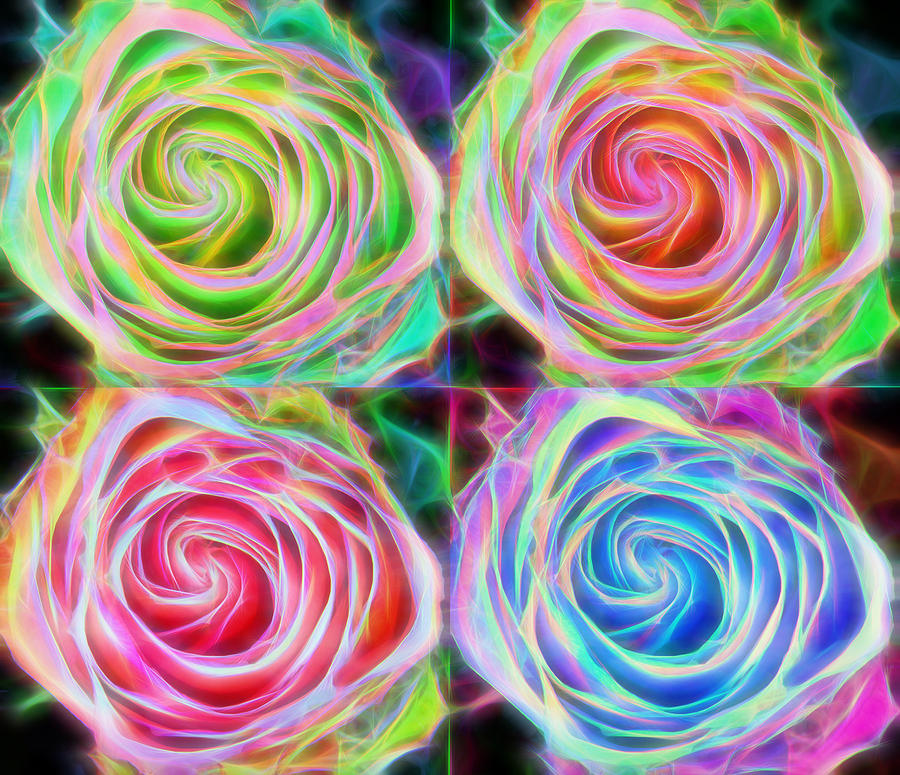 Four Colorful Electrify Roses Photograph by James BO Insogna