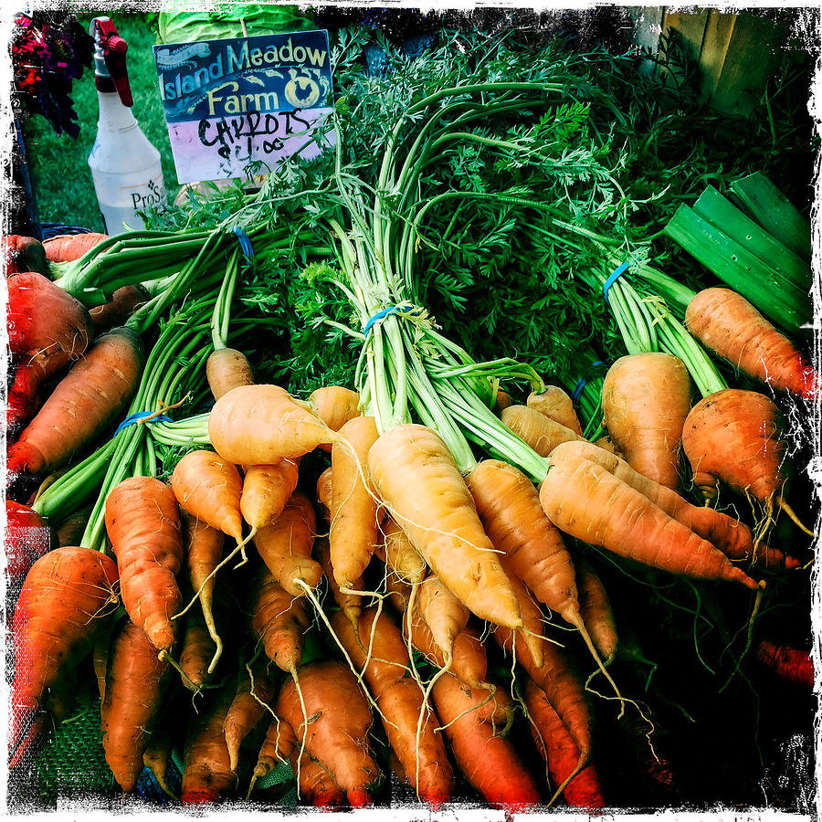 Four Dollar Carrots Photograph by Randy Green