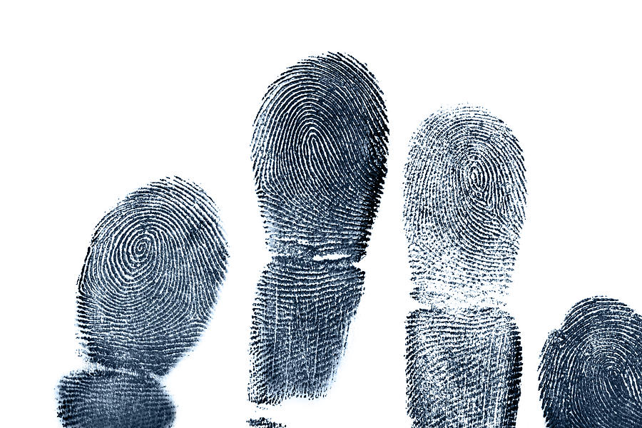 Four full length finger prints on white paper Photograph by JLGutierrez