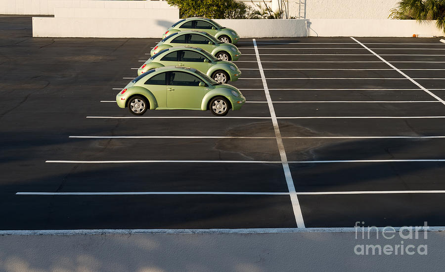 Four Green Beetles Photograph by Les Palenik