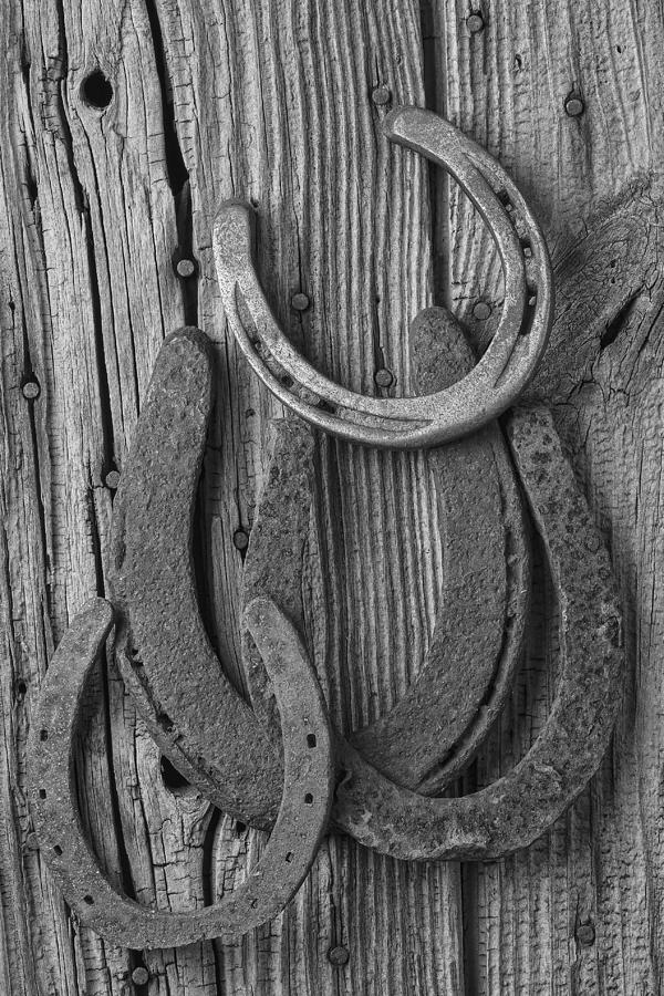 Four Horseshoes Photograph by Garry Gay