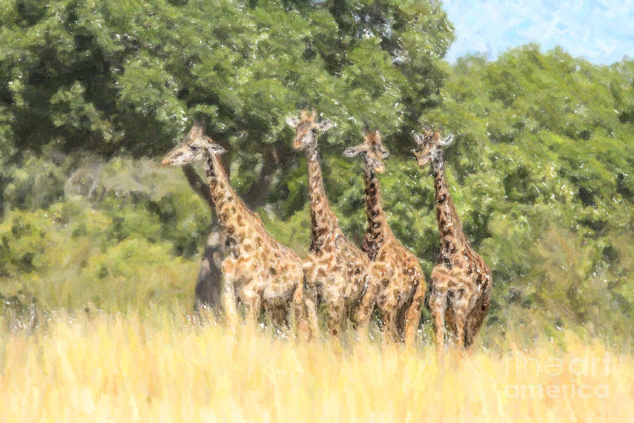 Four Masai Giraffes Masai Mara Kenya Digital Art by Liz Leyden
