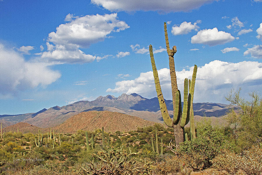 Four Peaks And Saguaros Photograph by Tom Janca