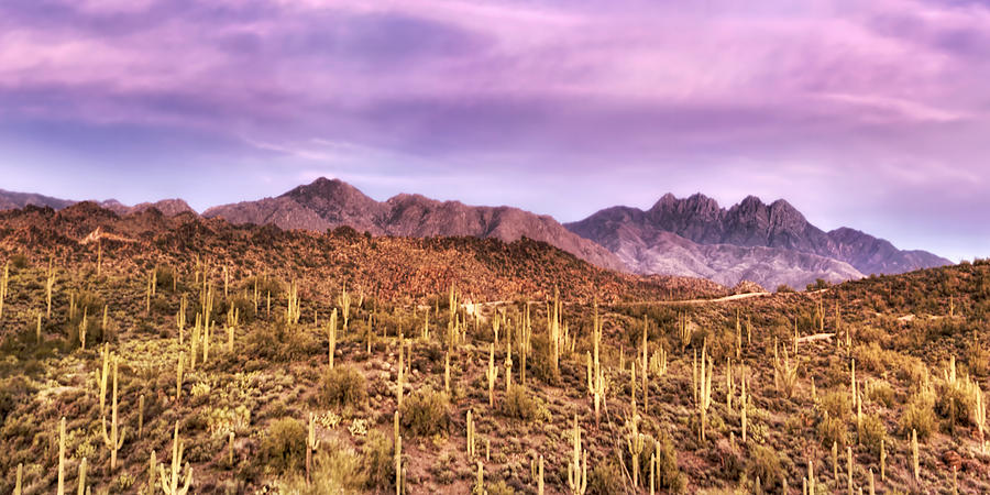 Four Peaks Solitude Photograph by Anthony Citro