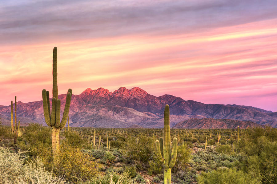 Four Peaks Sunset Photograph by Anthony Citro