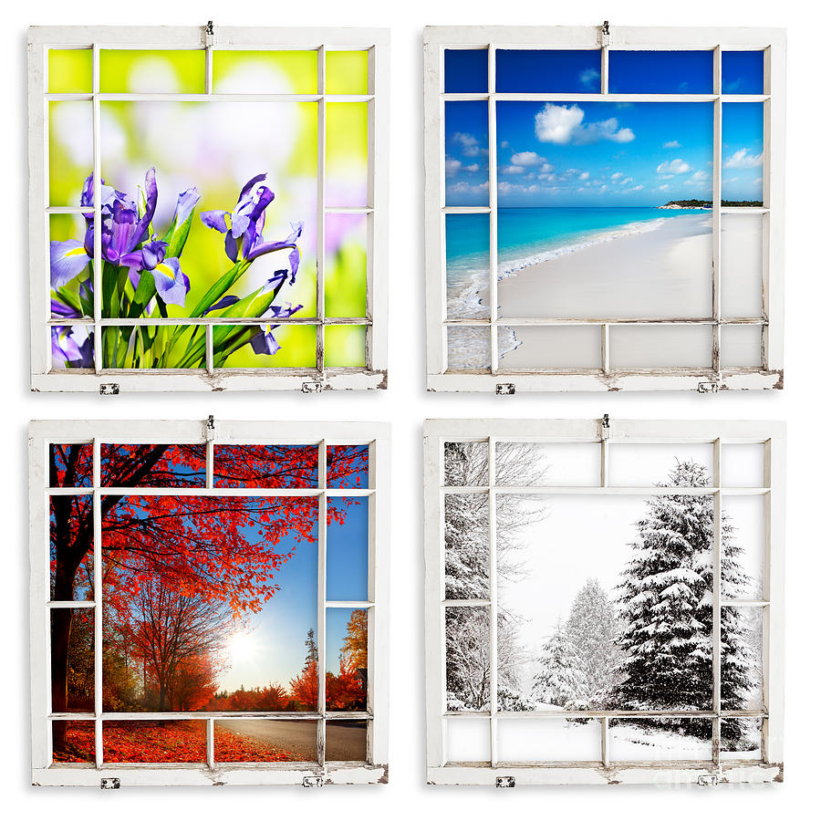 Four Season Views Throgh Grungy Painted Windows Photograph