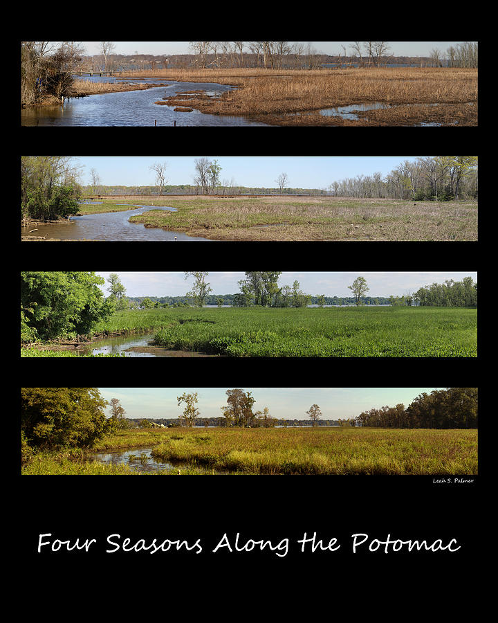 Four Seasons Along the Potomac Photograph by Leah Palmer