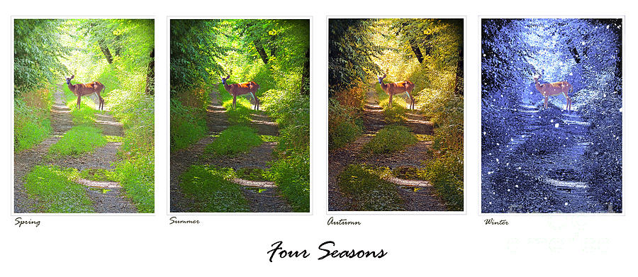 Four Seasons English Photograph by Larry Mulvehill