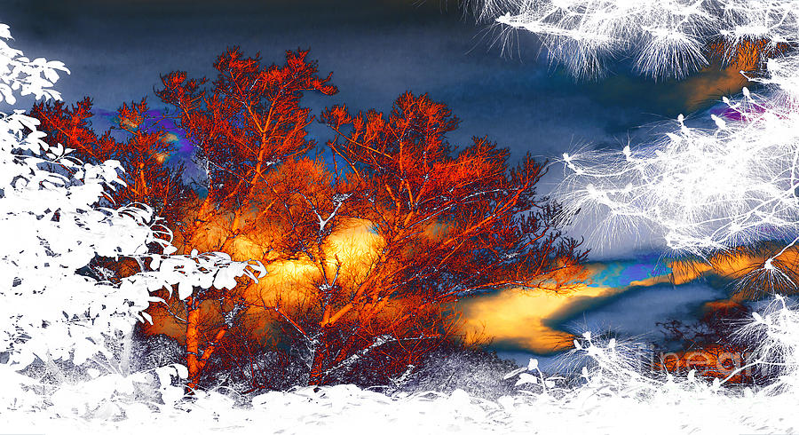 Four Seasons Sun Clouds Trees Night Day Photograph by Jerry Cowart