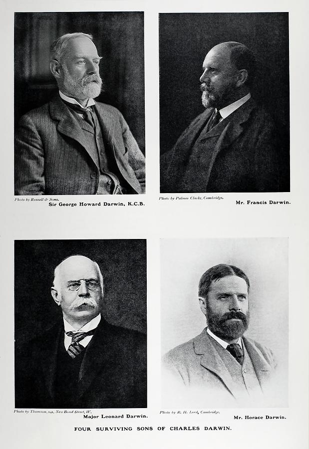 Four Sons Of Charles Darwin Photograph by Science Photo Library Four Sons Of Charles Darwin Photograph by Science Photo Library