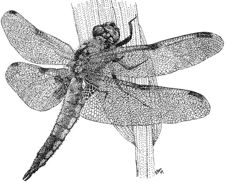 Drawing a Dragonfly - Stippling with Pen and Ink