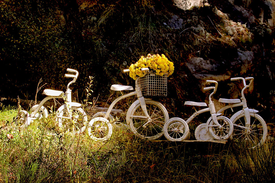 Four White Tricycles Photograph by Peggy Collins