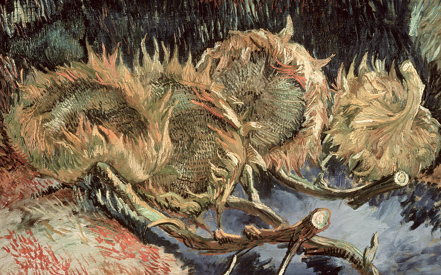 Vincent Van Gogh Painting - Four Withered Sunflowers by Vincent van Gogh