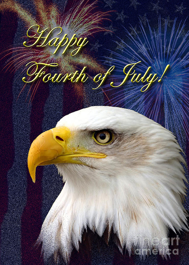 Fourth of July Eagle Photograph by K Fine Art America