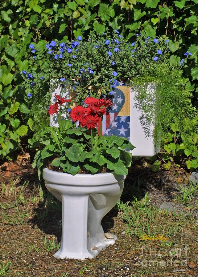 Fourth of July Loo Photograph by Dodie Ulery