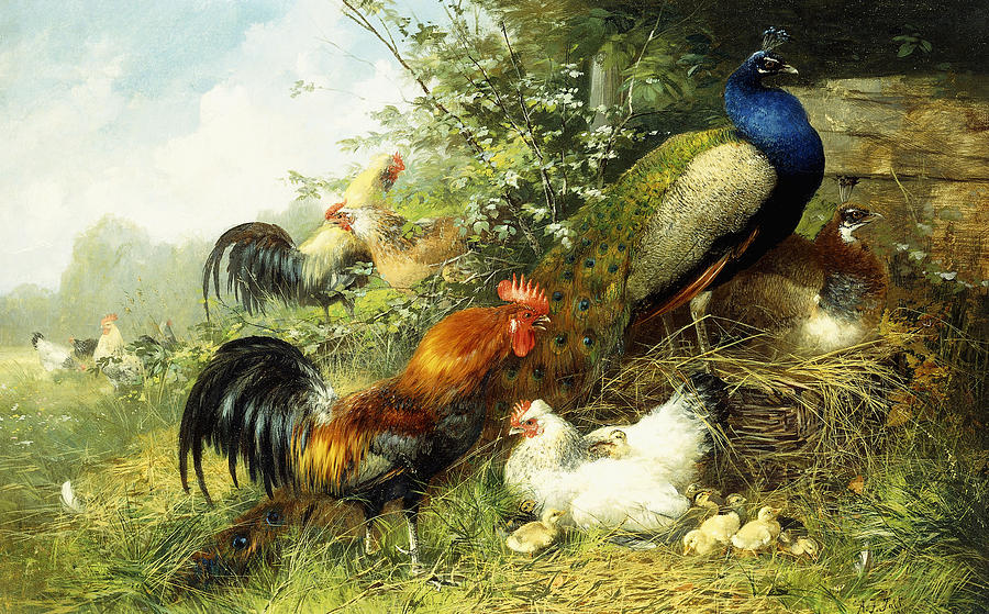 Fowl and Peacocks Painting by Arthur Fitzwilliam Tait