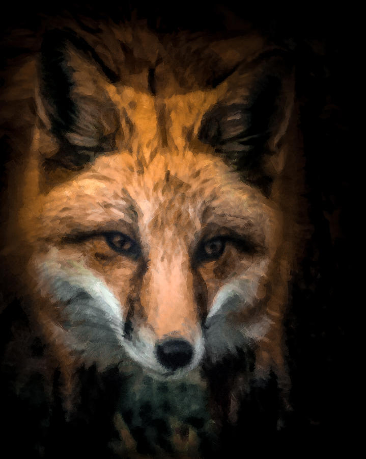 Fox Portrait Digital Art by Ernest Echols