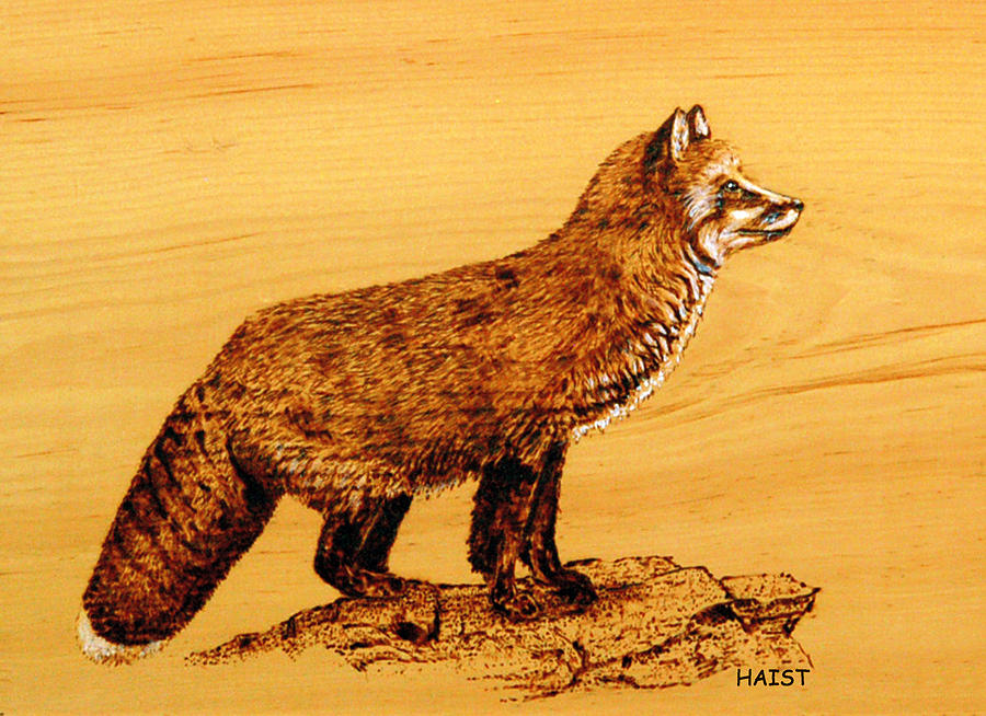 FOX Pyrography by Ron Haist