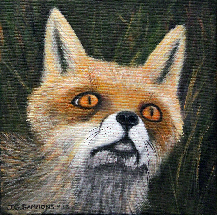 Fox Stare Painting by Janet Greer Sammons