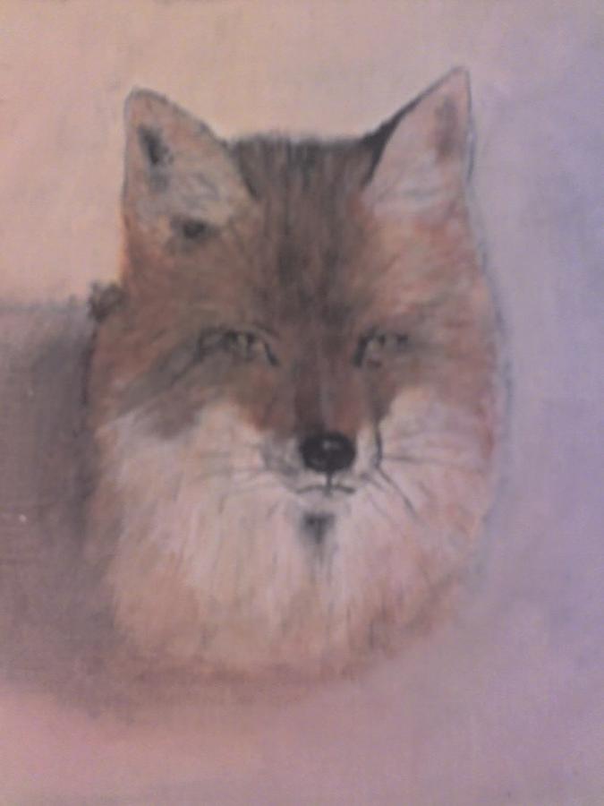 Red Fox Painting - fox by Stephen Thomson