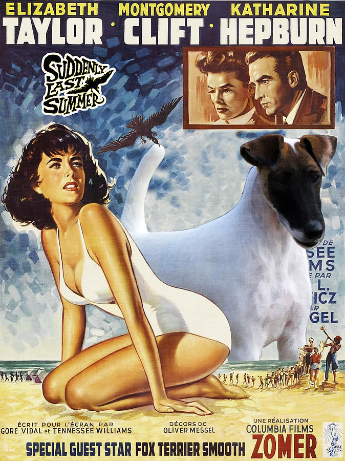 Fox Terrier - Smooth Fox Terrier Art Canvas Print - Suddenly Last Summer Movie Poster Painting by Sandra Sij
