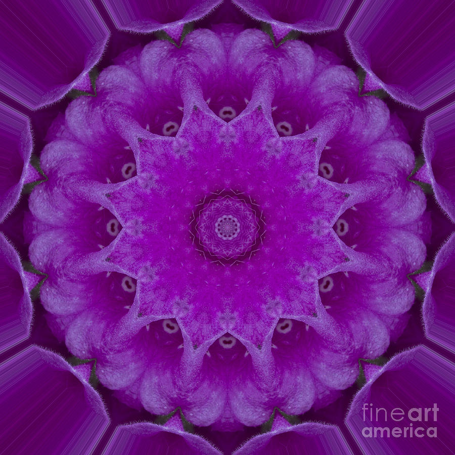 Foxglove Mandala Series Number 1 Photograph by Carrie Cranwill