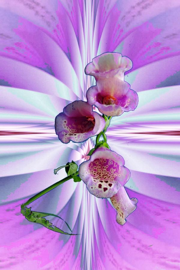 Flower Photograph - Foxglove by Mike Breau