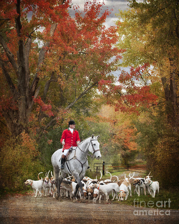 Fall Colours Photograph - Foxhunting Autumn Colours by Heather Swan