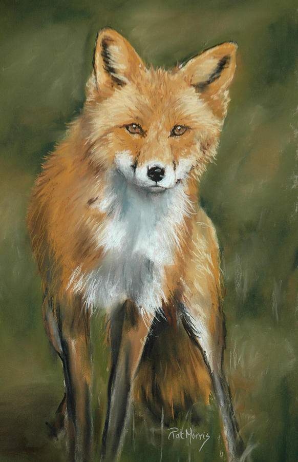 Foxy Pastel by Pat Morris | Fine Art America