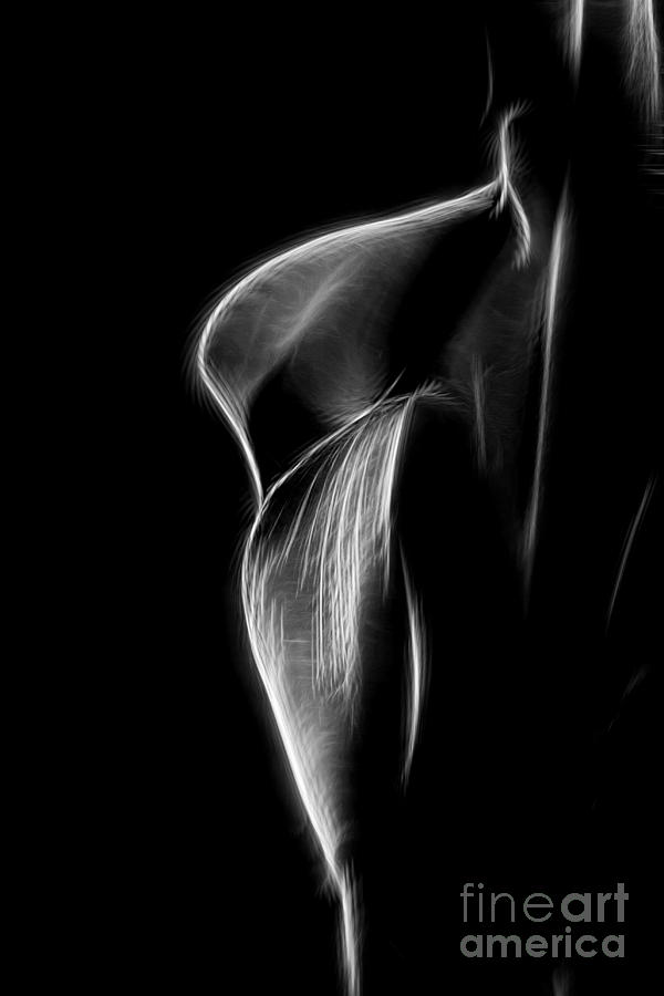 Fractal Cala Lily Black and White Photograph by Shirley Mangini