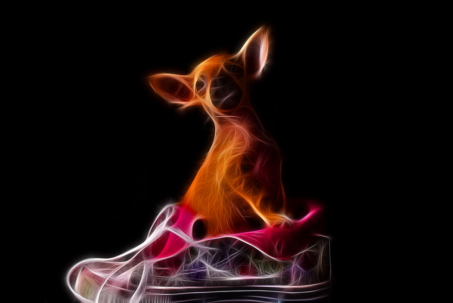 Fractal Chihuahua in a shoe Photograph by Prince Andre Faubert