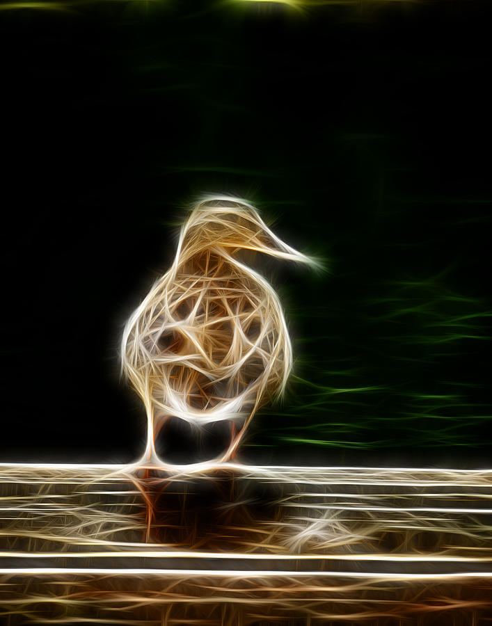 Fractal Duck Photograph by Prince Andre Faubert