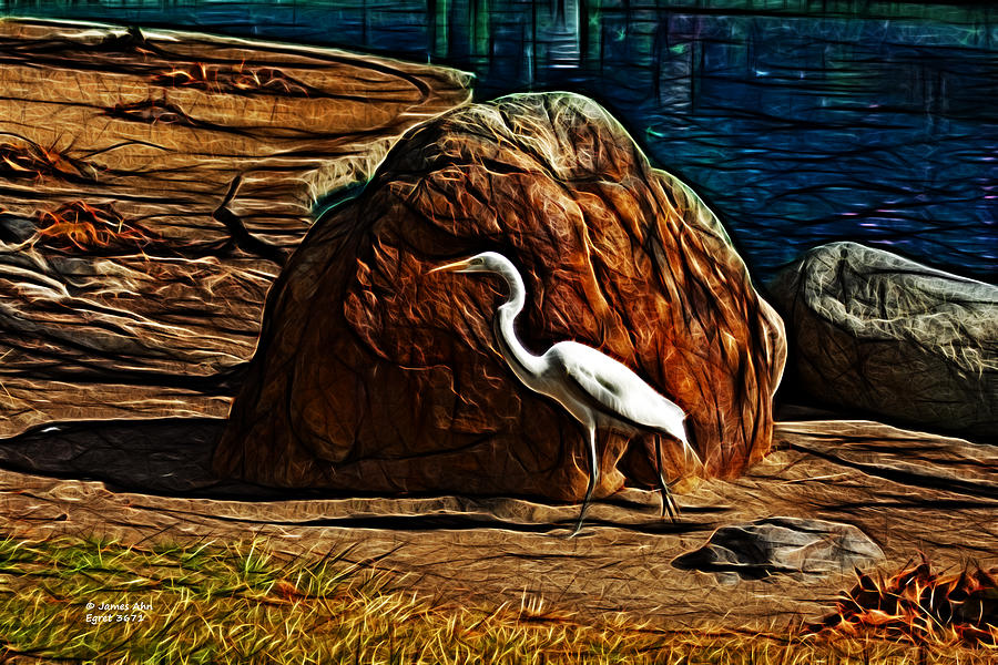 Fractal Egret Art - 3671 - FS Digital Art by James Ahn