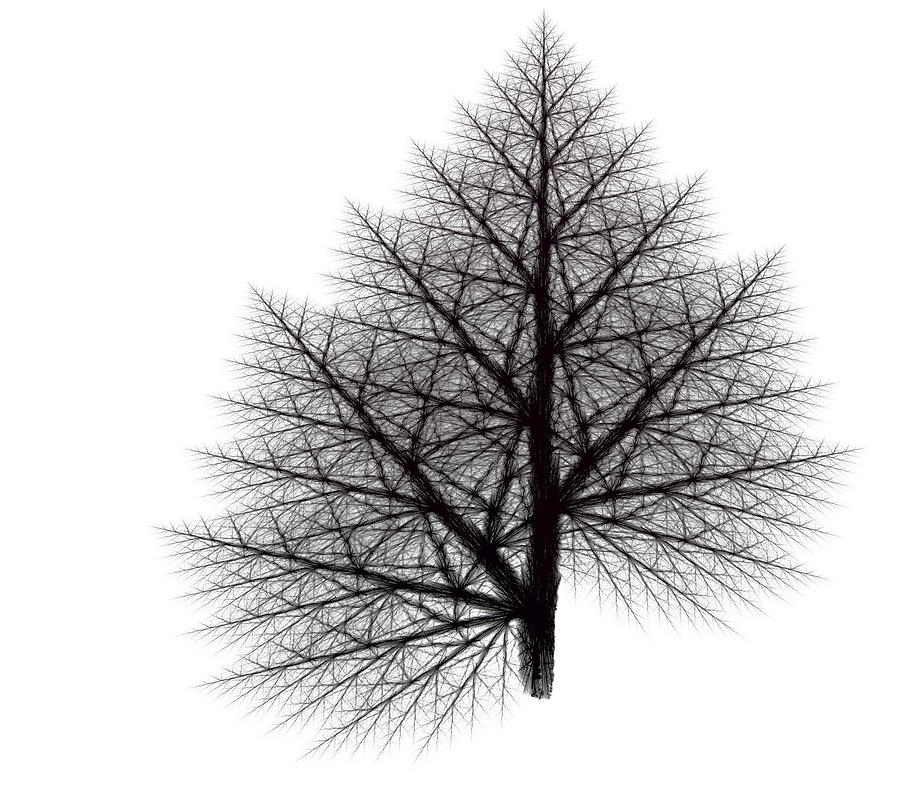 Fractal Essence of a Tree Digital Art by Richard Ortolano