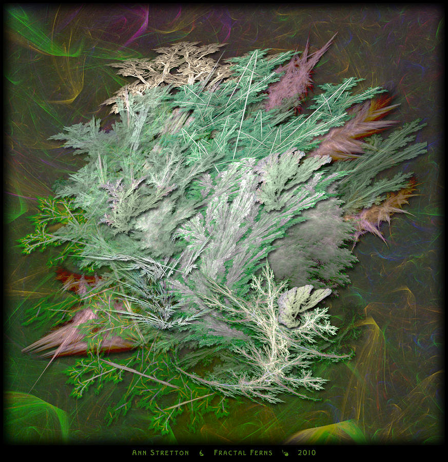 Fractal Ferns Digital Art by Ann Stretton