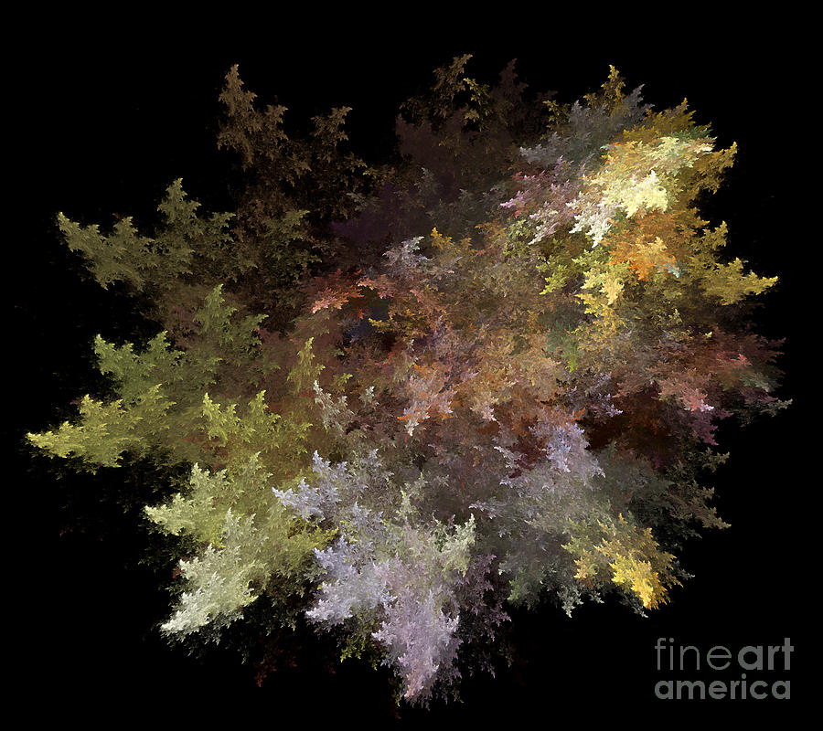 Abstract Photograph - Fractal Flames by Scott Camazine