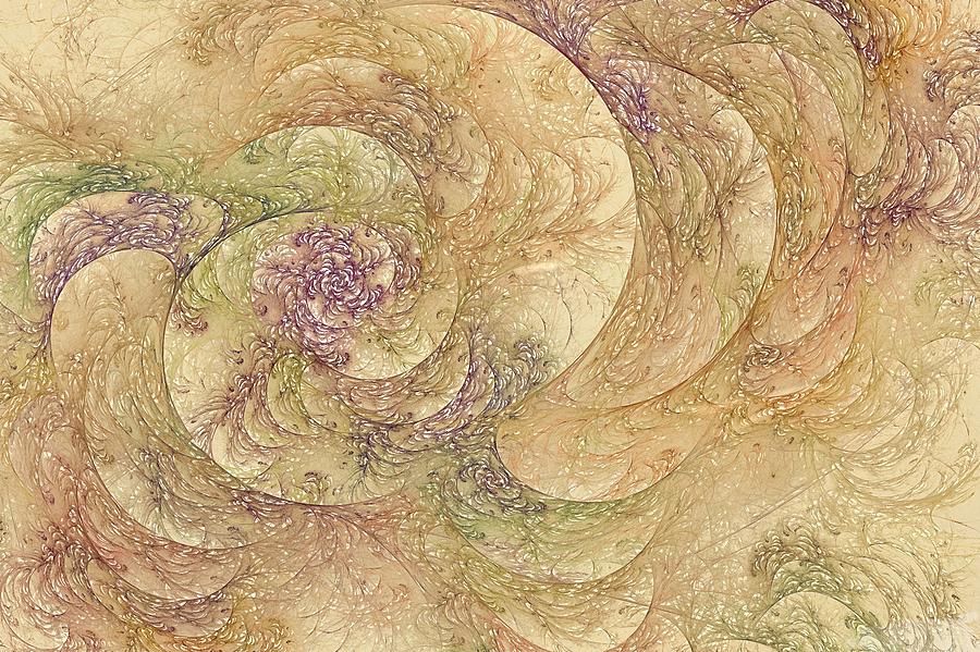Fractal Floral Filigree Seeded Digital Art by Doug Morgan