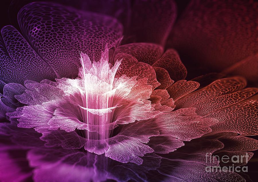 Fractal flower blossom Digital Art by Martin Capek