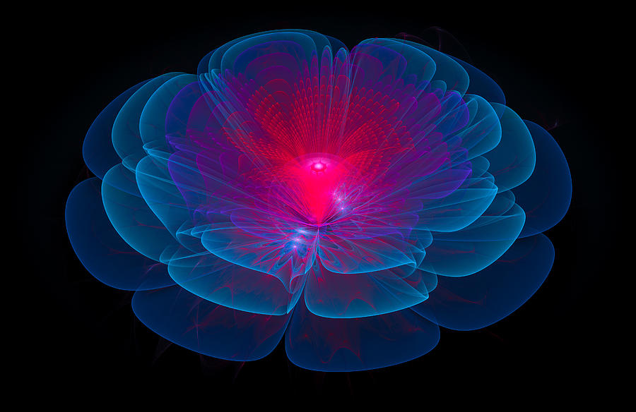Fractal flower blue and red Digital Art by Matthias Hauser